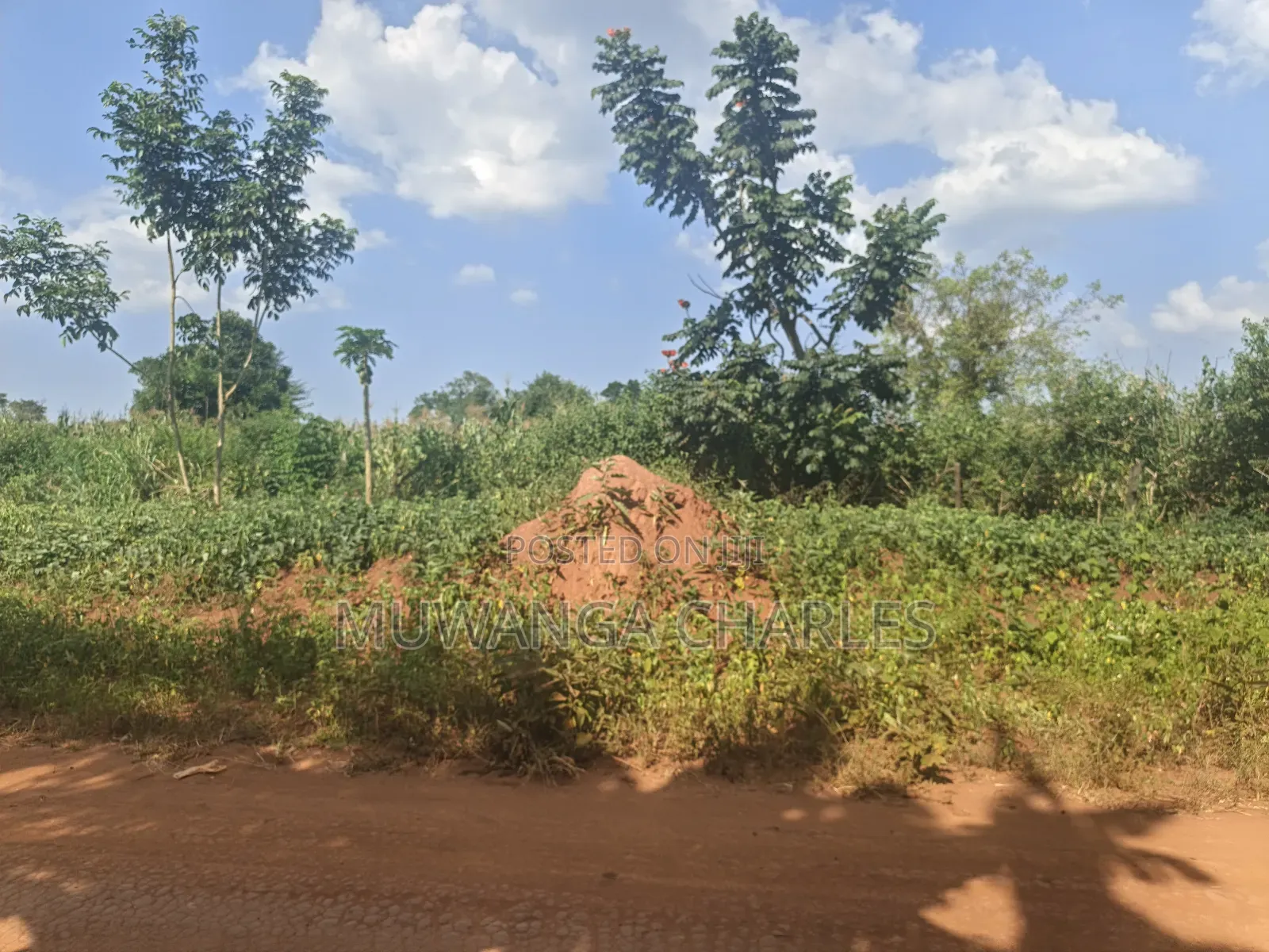 210acres of Land on Sale in Nakasongola Kakooge