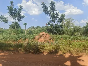210acres of Land on Sale in Nakasongola Kakooge