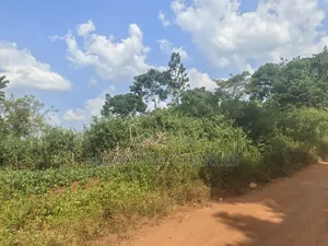 210acres of Land on Sale in Nakasongola Kakooge