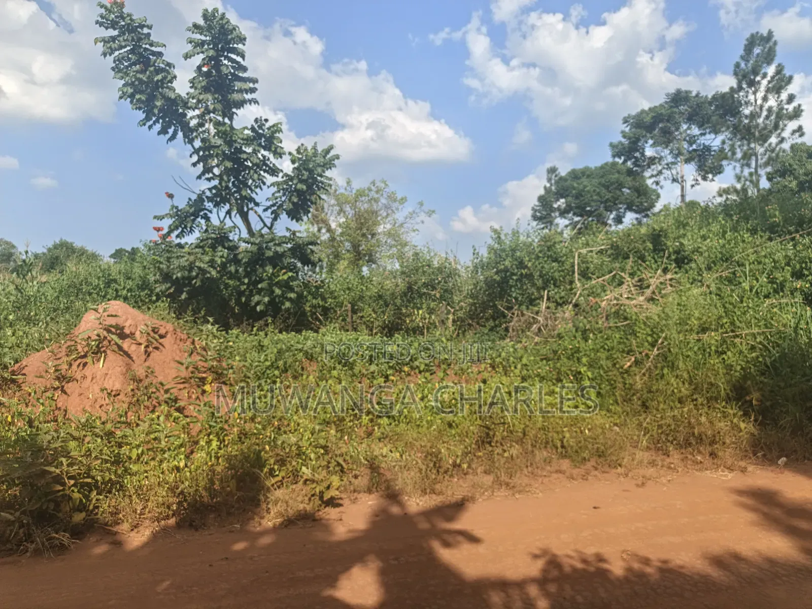 210acres of Land on Sale in Nakasongola Kakooge