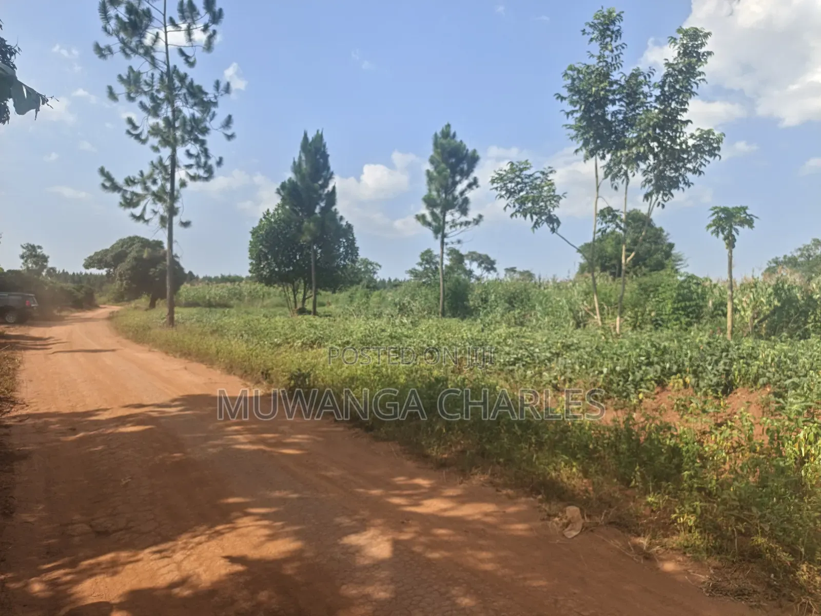 210acres of Land on Sale in Nakasongola Kakooge