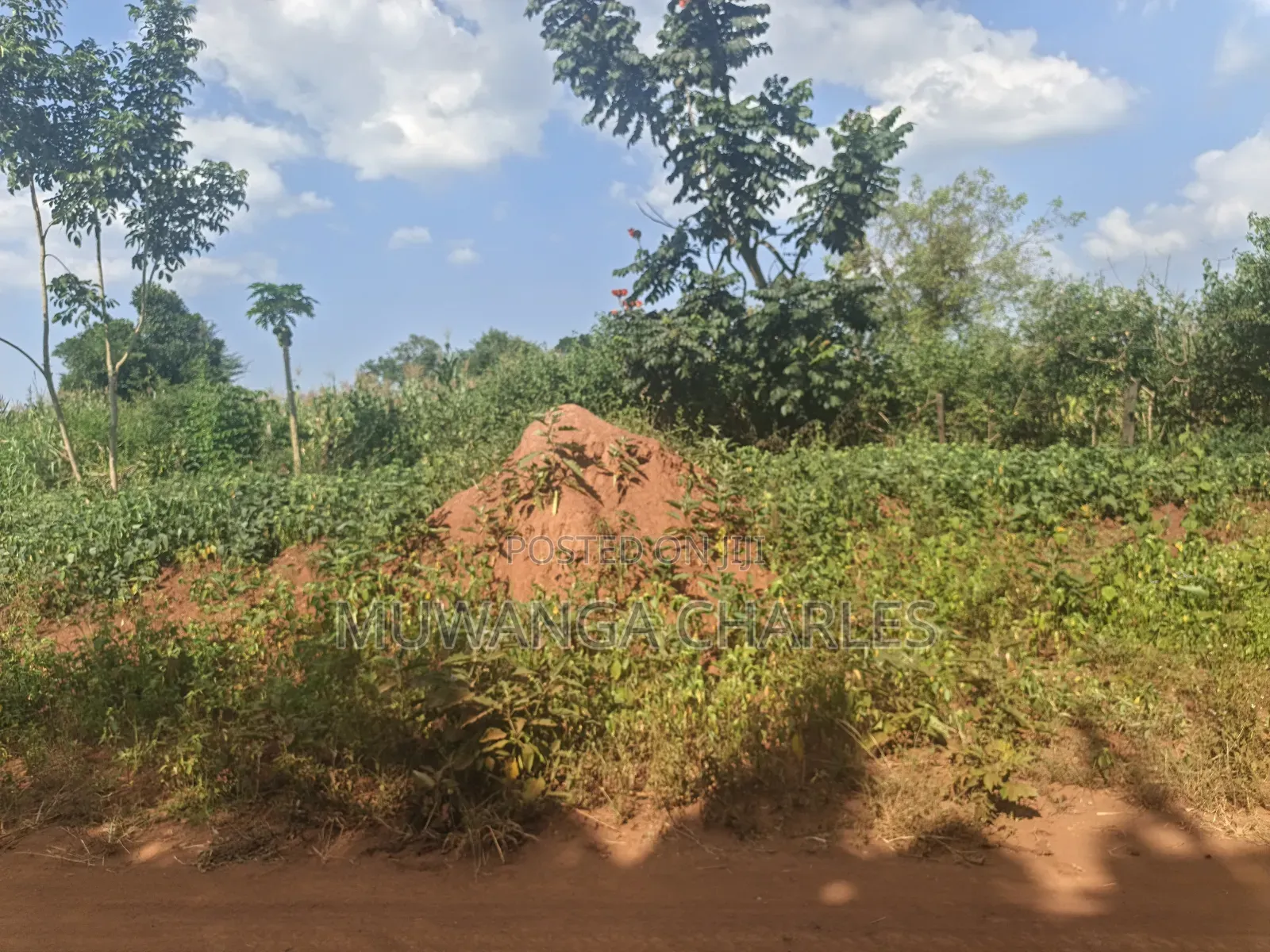 210acres of Land on Sale in Nakasongola Kakooge