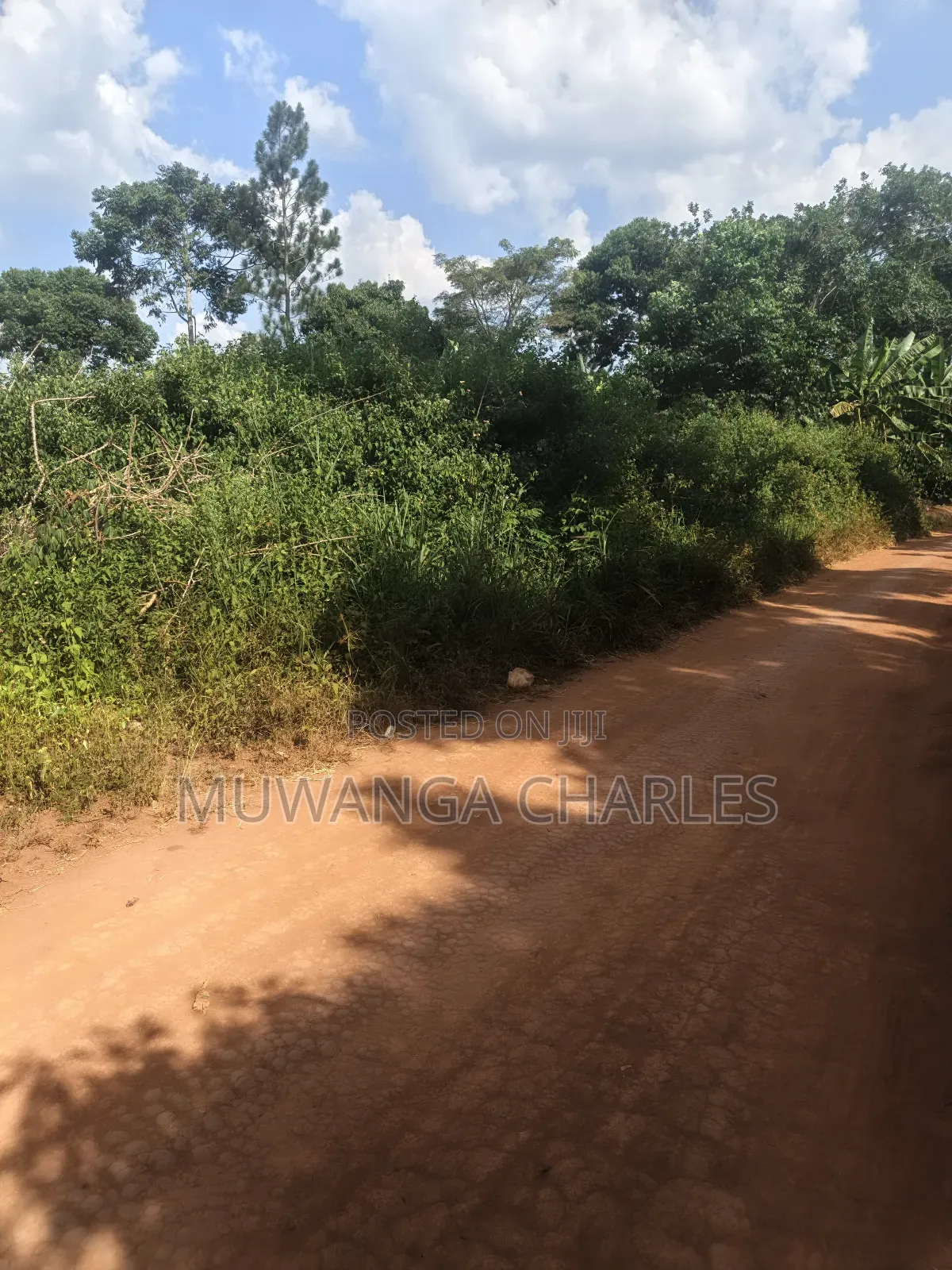 210acres of Land on Sale in Nakasongola Kakooge