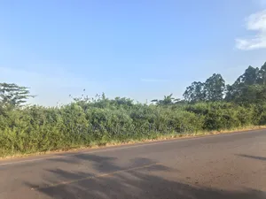 100acres on Sale in Nakasongola Kakooge Main Road