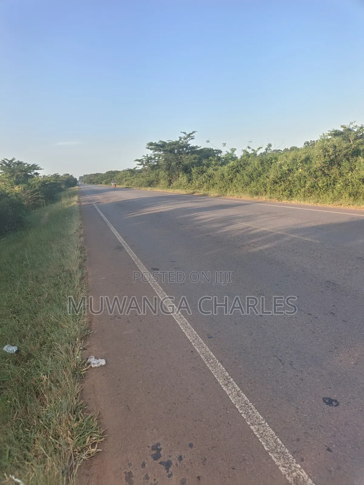 100acres on Sale in Nakasongola Kakooge Main Road