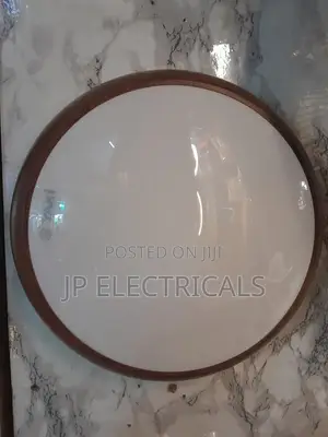 Warm White and Day Light Celling Lamp