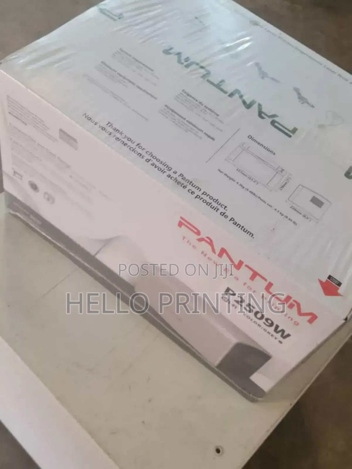 Pantum P2509w Smart Home Printer