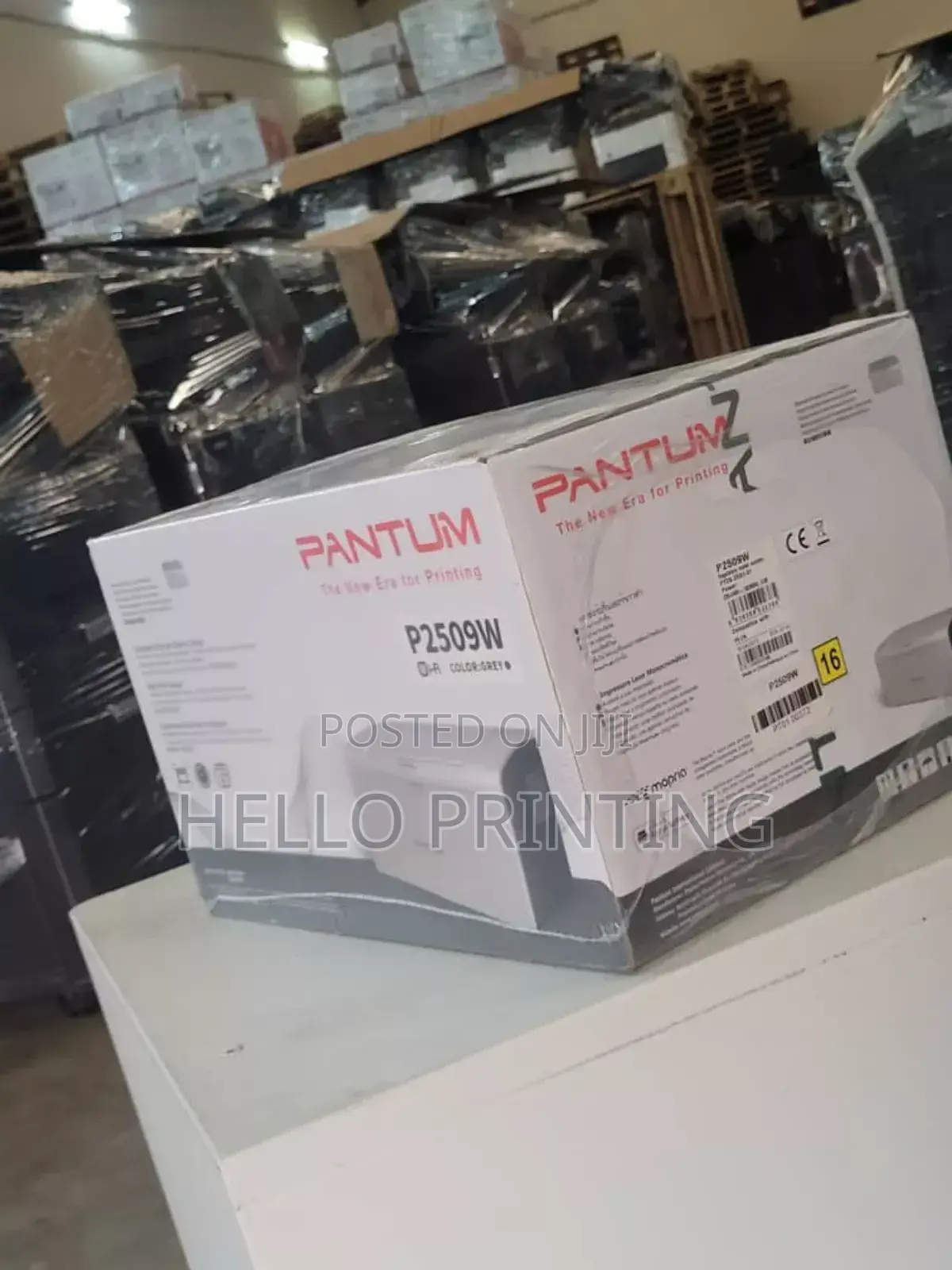 Pantum P2509w Print Workhorse