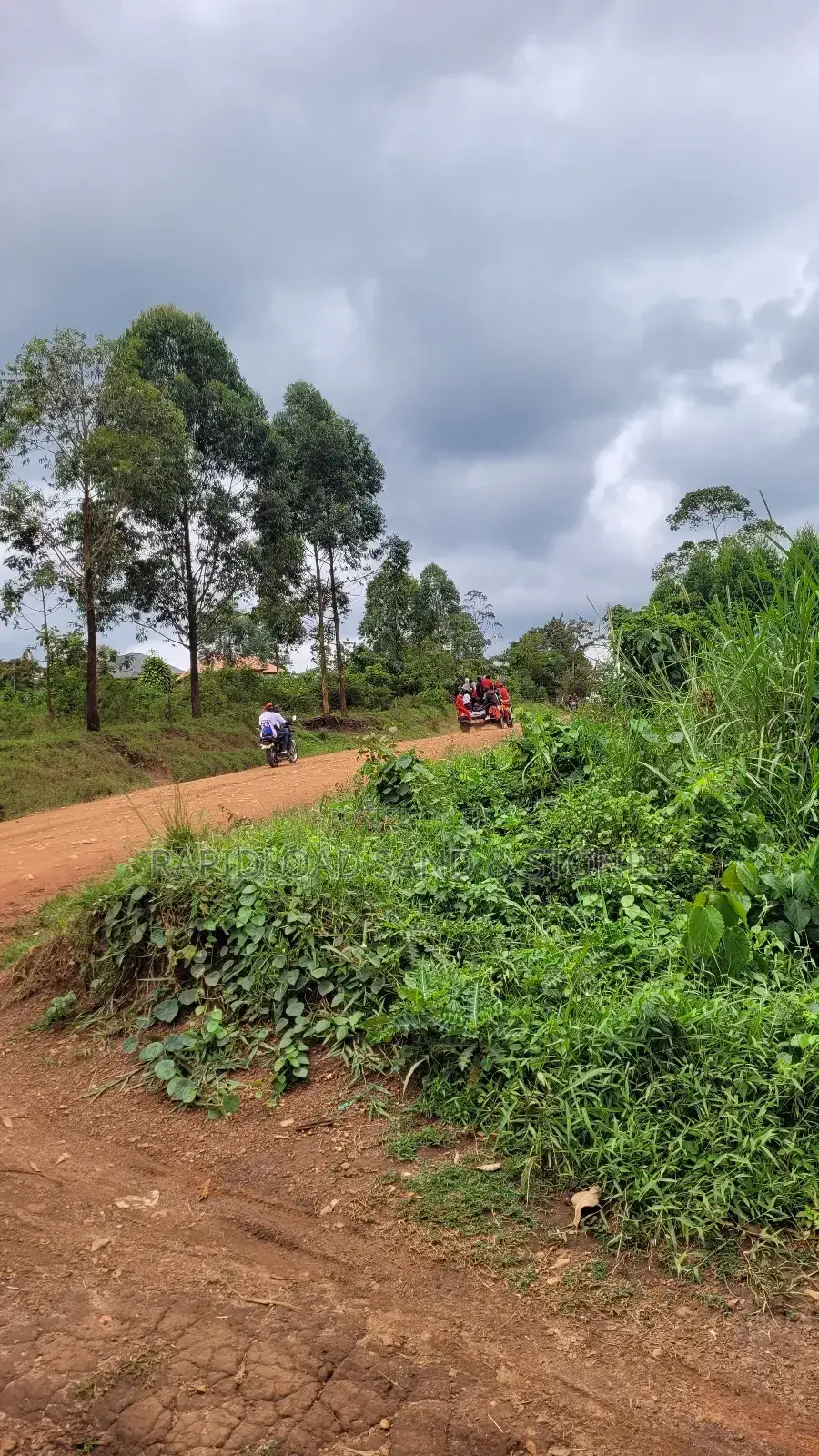 Good Plot 50*225 for Sale at Namayumba-Kyanuna