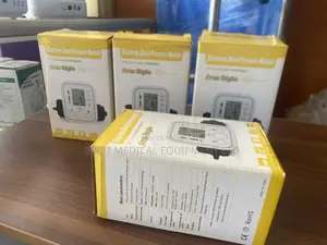 Fully Digital and Automatic Blood Pressure Monitor
