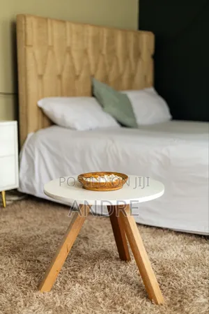 Furnished Studio Apartment in Central Division for rent