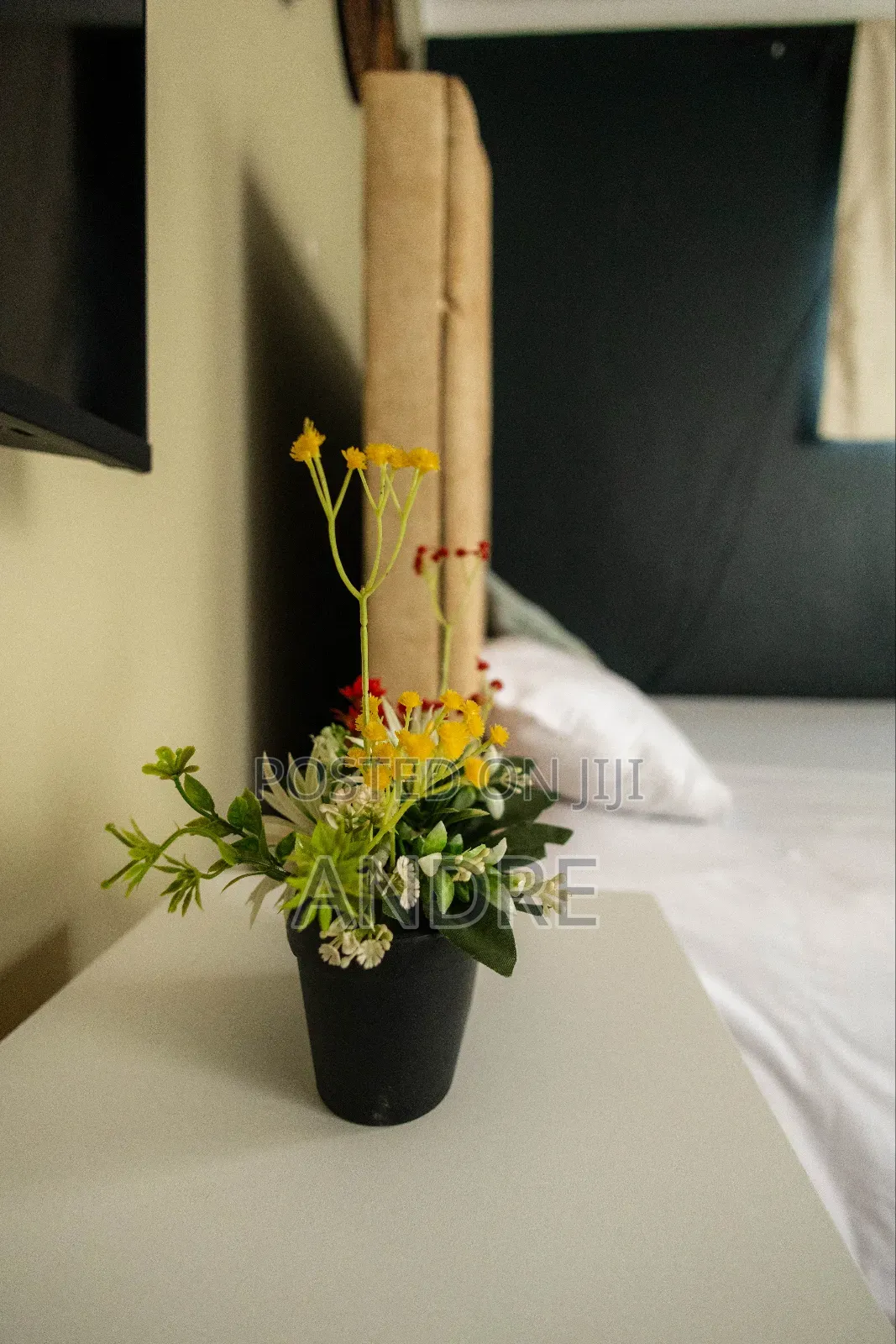 Furnished Studio Apartment in Central Division for rent