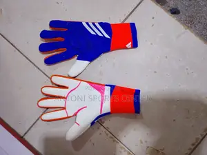 Goalkeeper Gloves Predetor