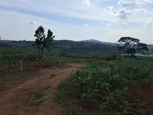 Acres for Sale