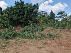 Acres for Sale