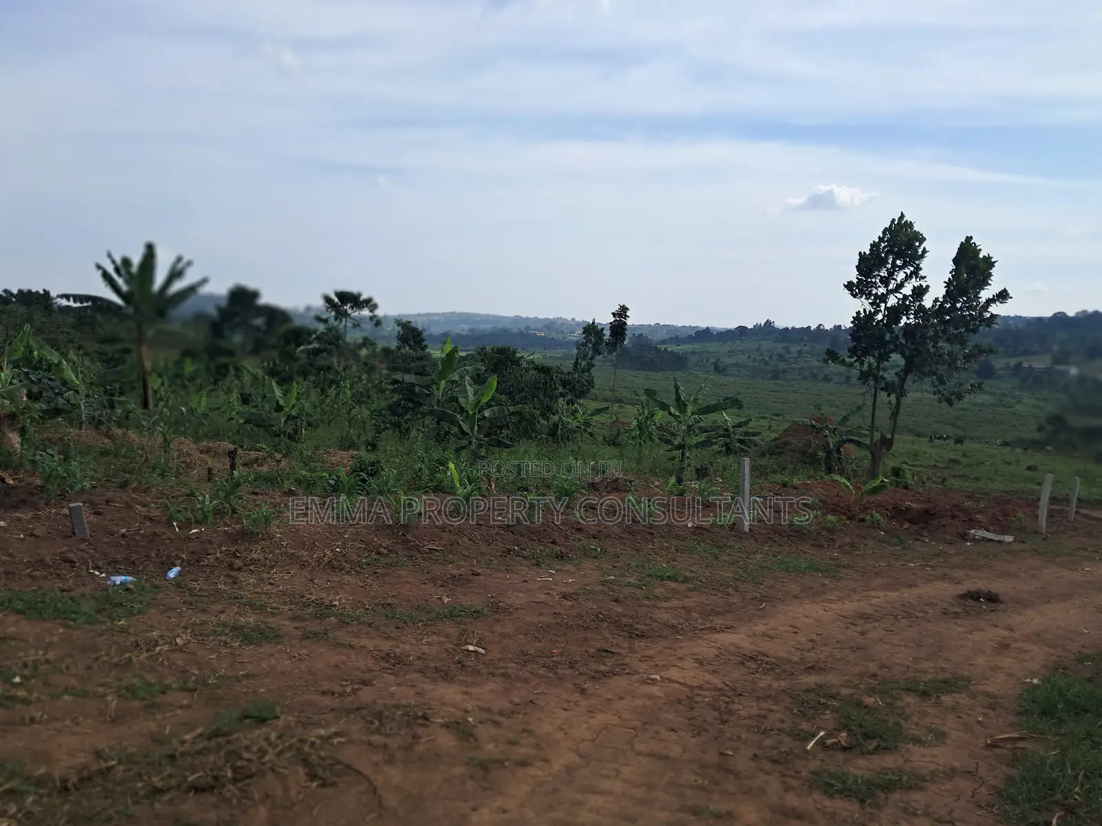 Acres for Sale