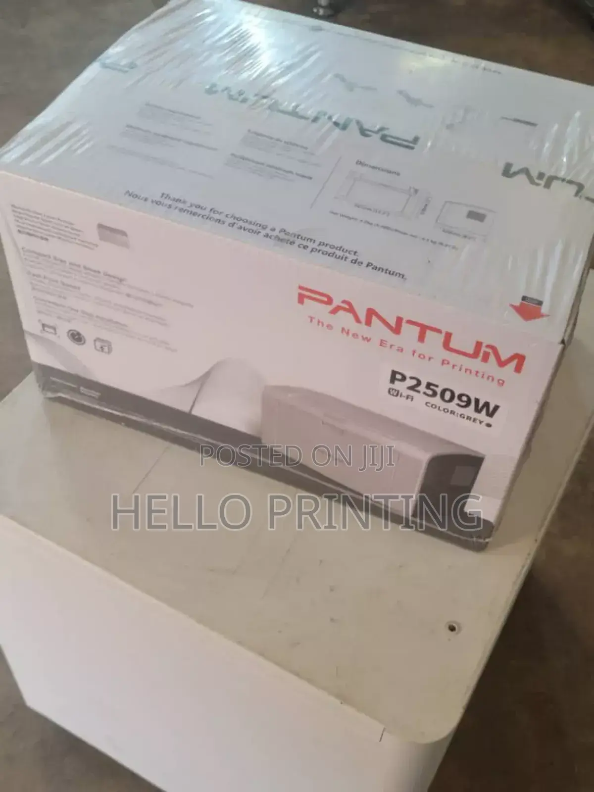 Pantum P2509w Paper Friendly Printer