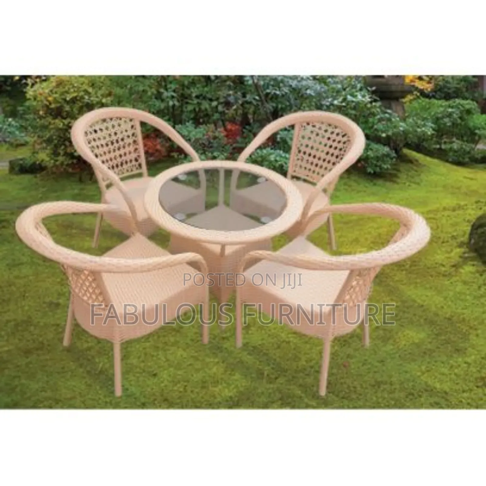 Set of 4 Chairs and the Table