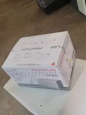 Pantum P2509w Printer for Smes