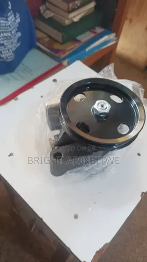 Brand New Hydraulic Pump for 3s Ipsum, Gaia,Nadia.