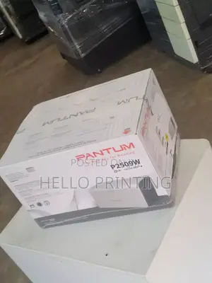 Pantum P2509w Wireless Print Hub