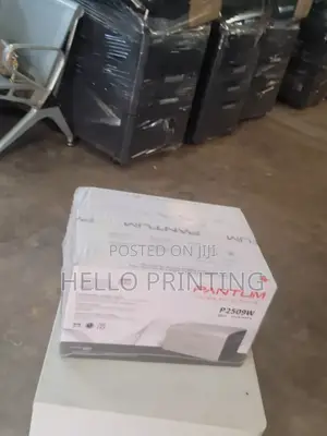 Pantum P2509w Office Duty Printer