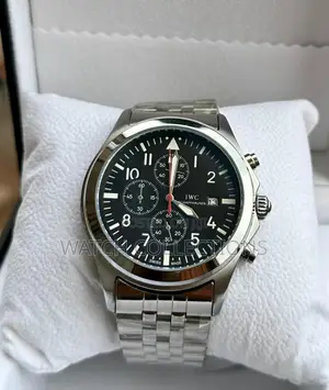 Iwc Metallic Watch