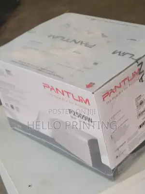 Pantum P2509w Black Printer