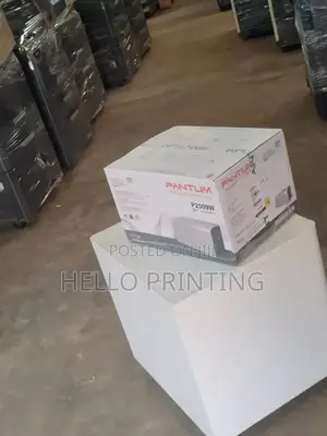Pantum P2509w Clean Office Printer