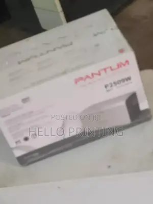Pantum P2509w Compact Laser Wifi