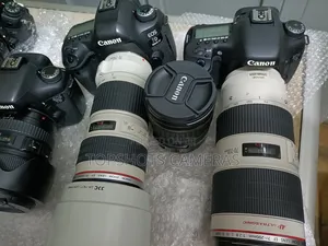 Canon Ef 70-200mm F4.0 Lens