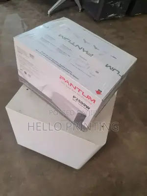 Pantum P2509w Quick Laser Printing.