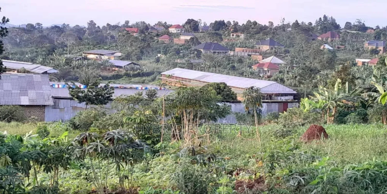 Prime Plots For Sale At Maya~Nanziga Divine Land Estate~Masaka Road V.
