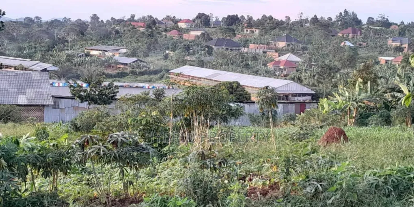 Prime Plots For Sale At Maya~Nanziga Divine Land Estate~Masaka Road V.