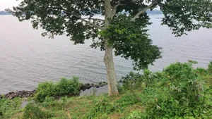 2 Acers Beach Land in Kawuku Entebbe Rd