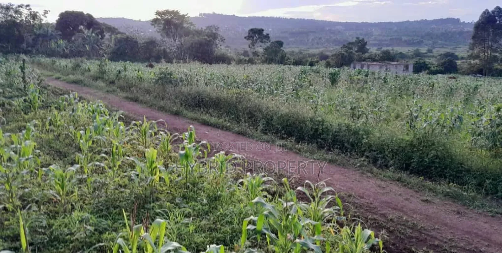 Prime Plots For Sale At Maya~Nanziga Divine Land Estate~Masaka Road V.
