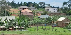 Prime Plots For Sale At Kasengejje~Wakiso Kulya Show Estate.
