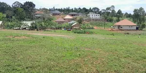 Prime Plots For Sale At Kasengejje~Wakiso Kulya Show Estate.