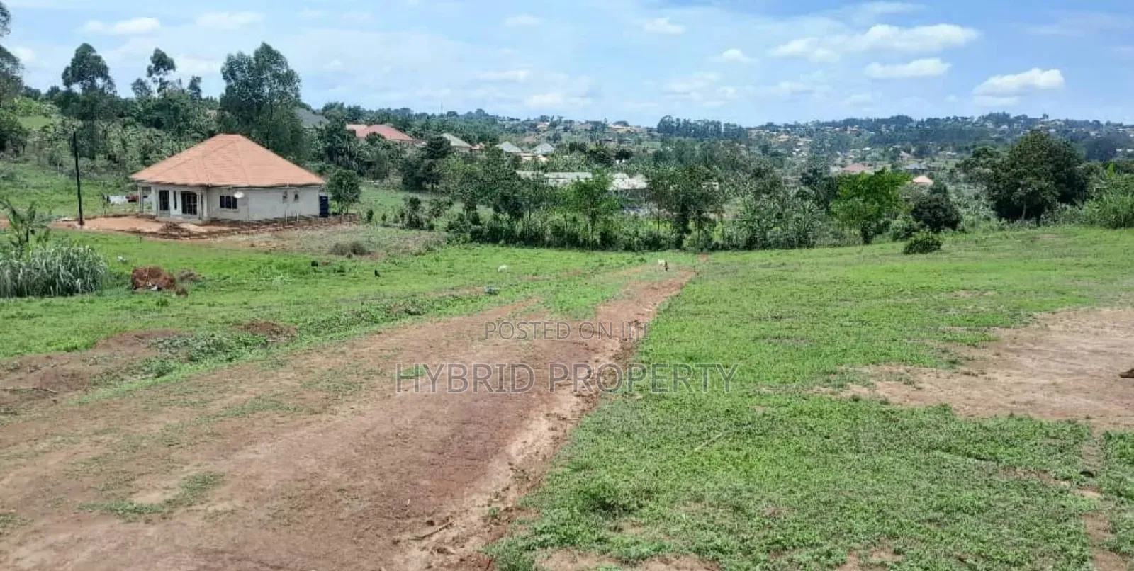 Prime Plots For Sale At Kasengejje~Wakiso Kulya Show Estate.