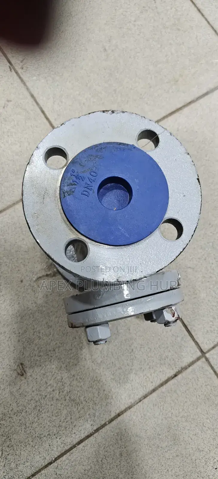 Steam Non Return Valve