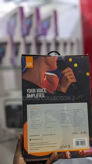Soundtec Duo Mic Wireless Microphones