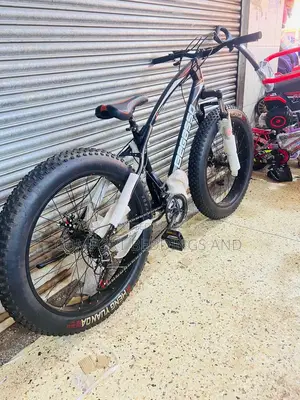 Big Tyre Adult Bicycle Black