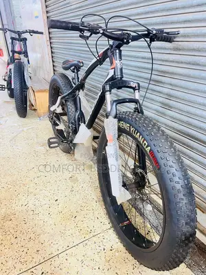 Big Tyre Adult Bicycle Black