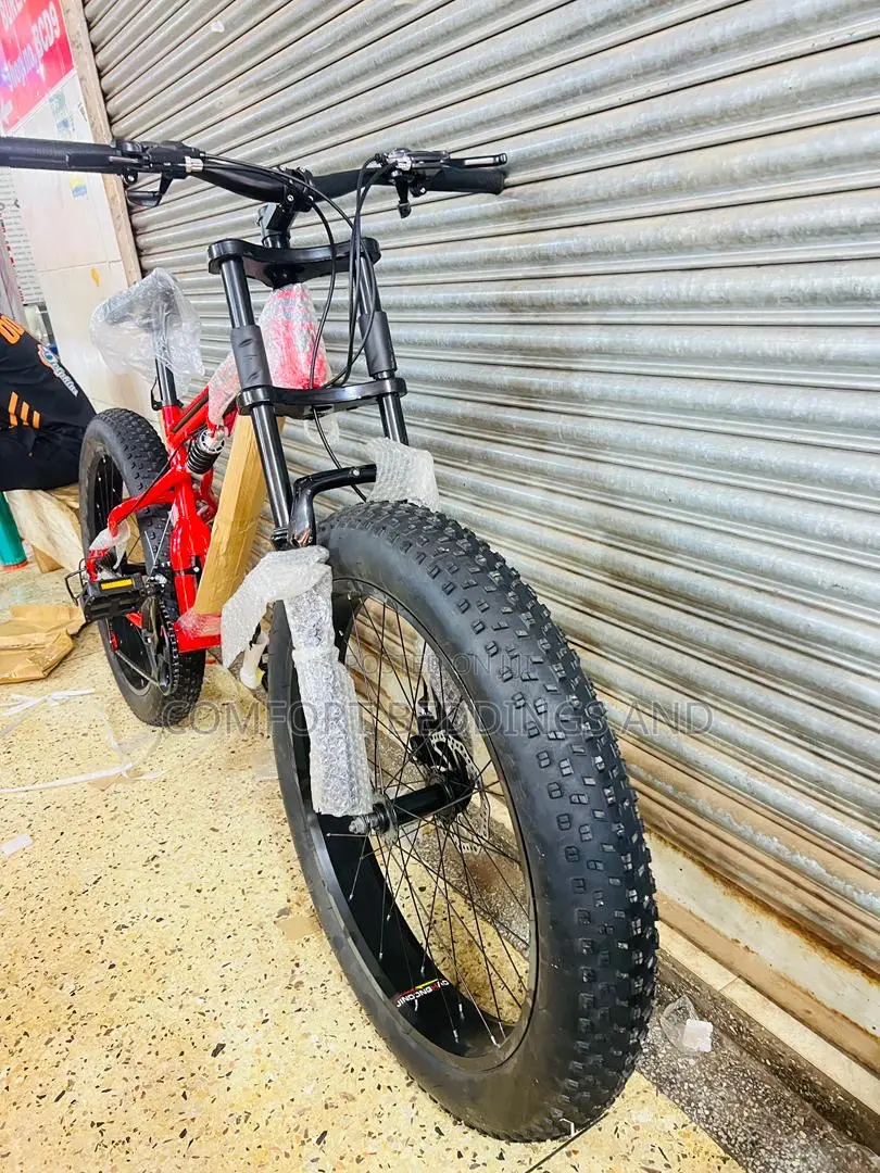 Big Tyre Adult Bicycle