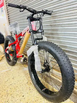 Big Tyre Adult Bicycle