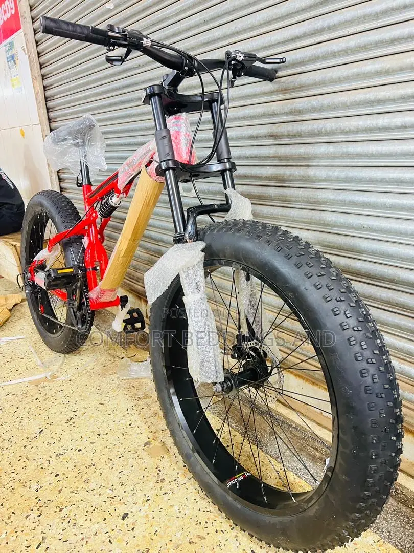 Big Tyre Adult Bicycle