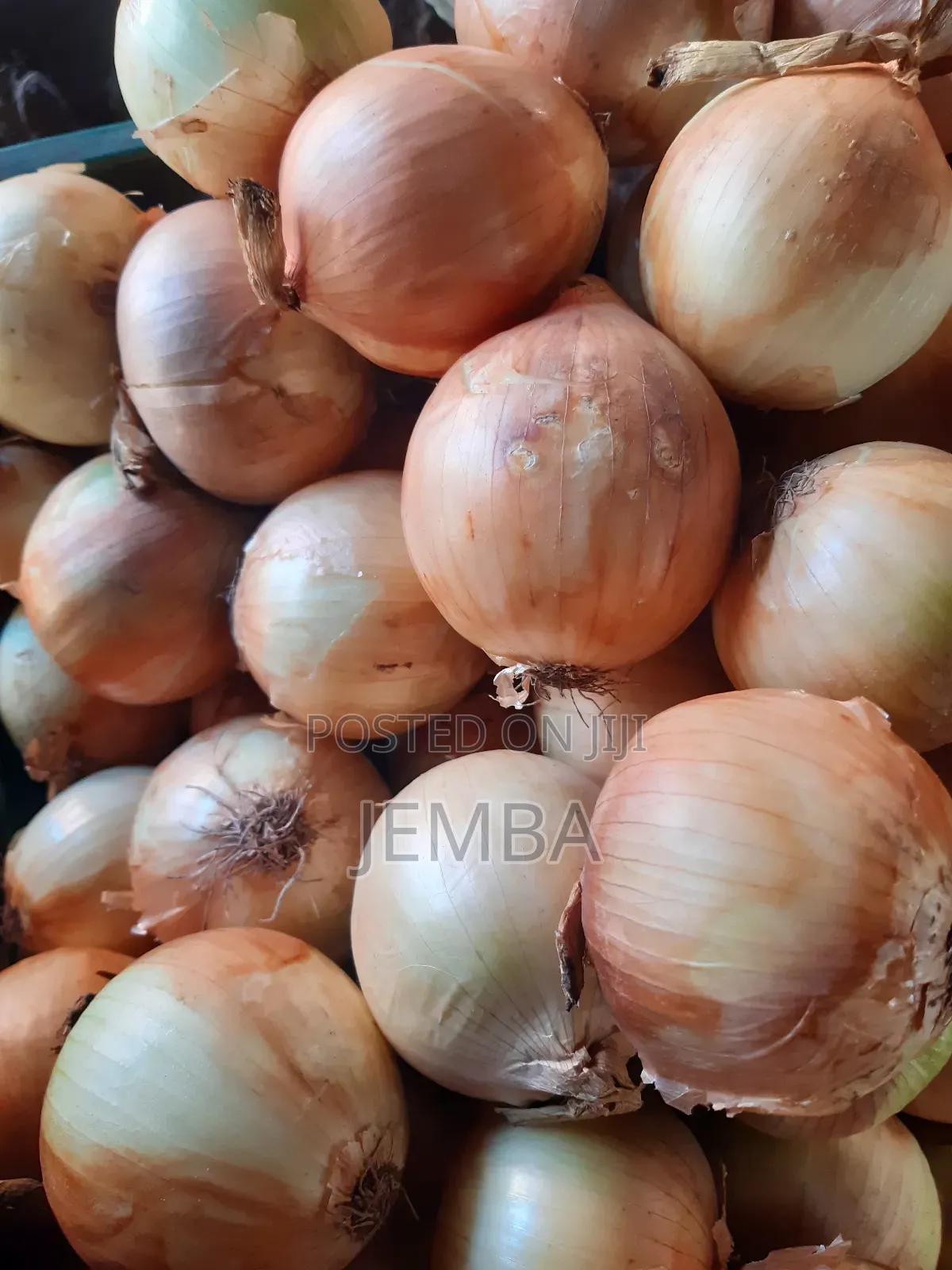 Dry White Onions