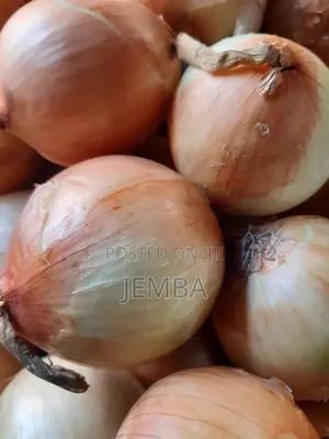 Dry White Onions