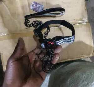 Chain With Collar Grey