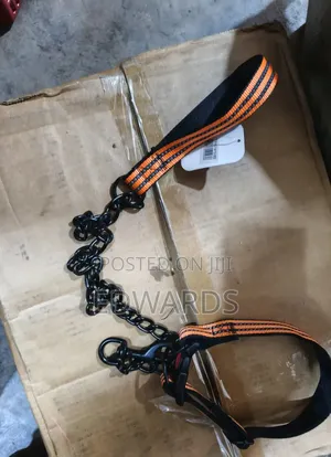 Leash Collar Orange